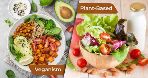 Plant-Based OR VEGANISM? Know The Difference