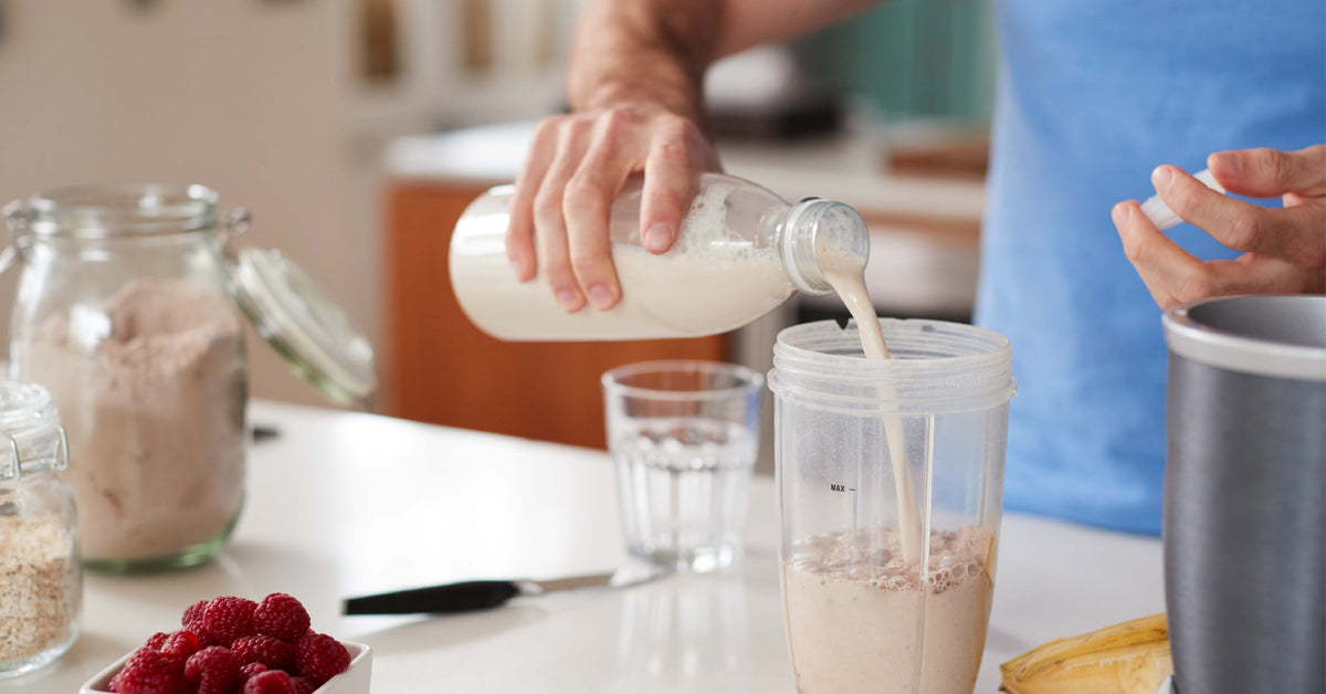 Best Digesting Plant Protein Vegan Protein Powder